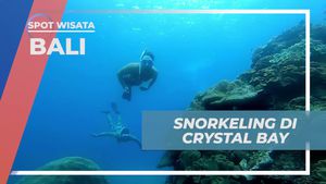 Snorkeling Seru Menyelami Keindahan Crystal Bay, Bali