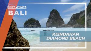 Menyaksikan Keindahan Diamond Beach yang Menakjubkan di Bali