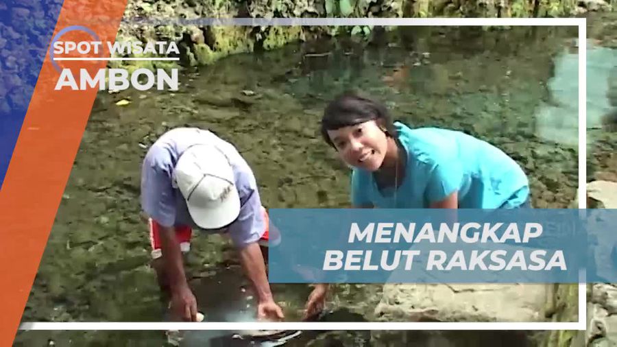 Menangkap Belut Raksasa di Desa Wai, Ambon