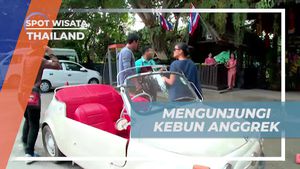 Menjelajahi Keindahan Taman Anggrek Sai Na Phung, Thailand