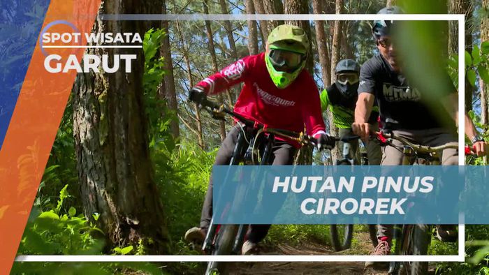 Eksplorasi Hutan Pinus Cirorek dengan Bersepeda, Garut
