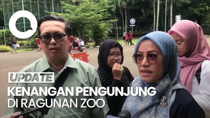 Video: Nostalgia Pengunjung Melihat Ragunan Zoo Era 1980-an vs Sekarang