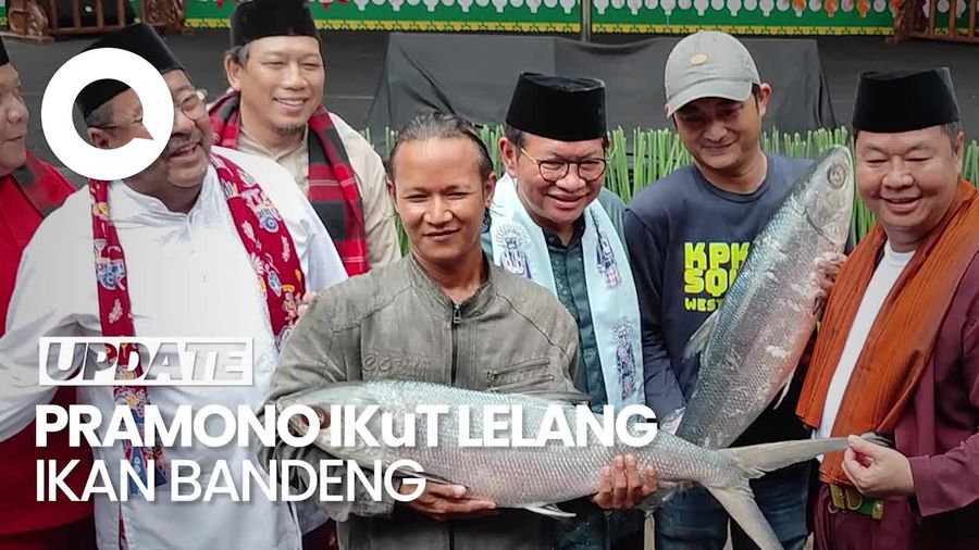 Video: Momen Pramono Ikut Lelang Ikan Bandeng Seharga Rp 6 Juta