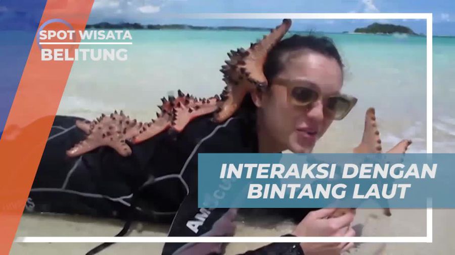 Interaksi Seru dengan Bintang Laut di Pulau Pasir, Belitung