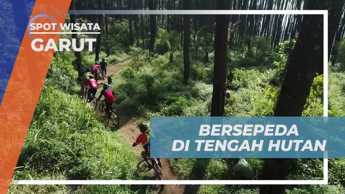 Bersepeda Menyusuri Keindahan Hutan Pinus Cirorek, Garut