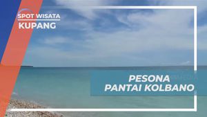 Pesona Alam Pantai Kolbano, Kupang yang Memukau
