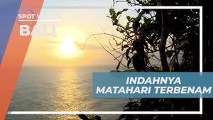 Saksikan Matahari Terbenam Indah di Kelingking Beach, Bali