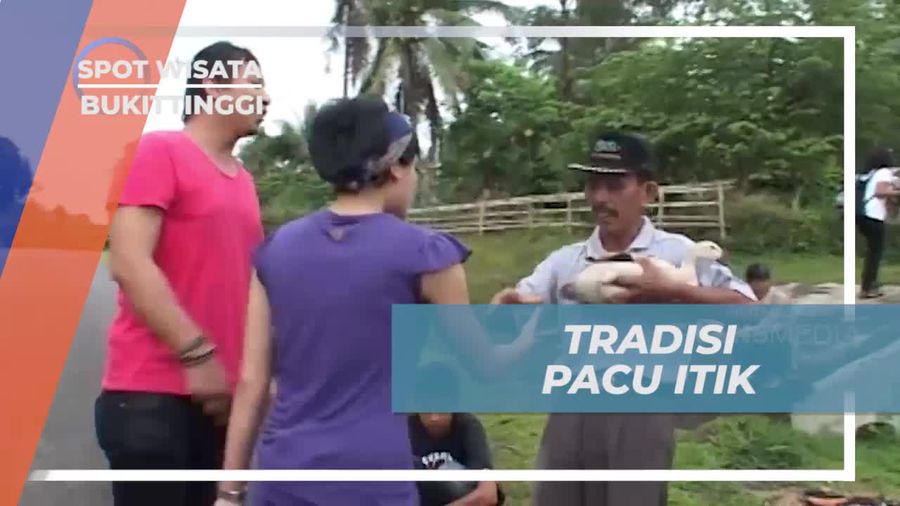 Mengikuti Tradisi Pacu Itik yang Unik di Bukittinggi