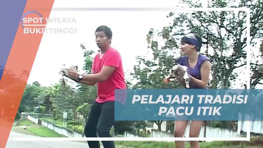Mempelajari Tradisi Pacu Itik yang Khas di Bukittinggi