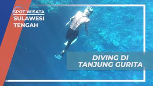 Menyelami Kejernihan Laut Tanjung Gurita, Sulawesi Tengah