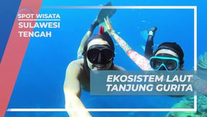 Menemukan Keindahan Ekosistem Laut Tanjung Gurita, Sulawesi Tengah