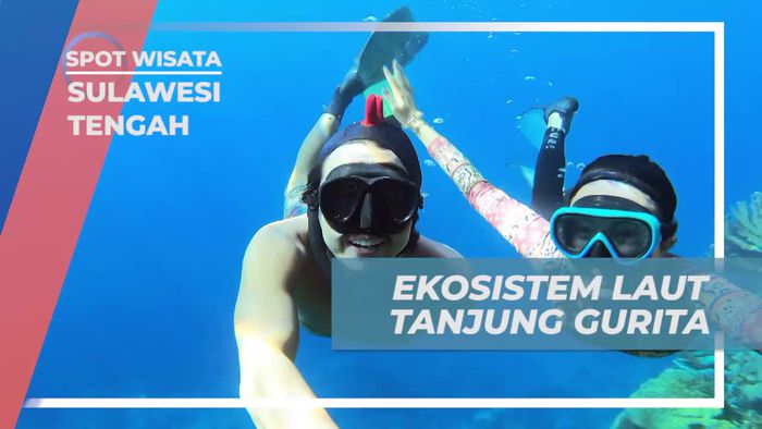 Menemukan Keindahan Ekosistem Laut Tanjung Gurita, Sulawesi Tengah