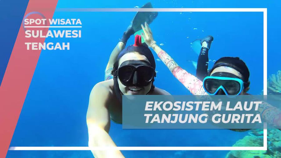 Menemukan Keindahan Ekosistem Laut Tanjung Gurita, Sulawesi Tengah