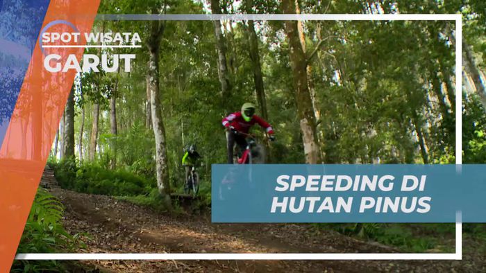 Menguji Adrenalin dengan Speeding di Hutan Pinus Garut