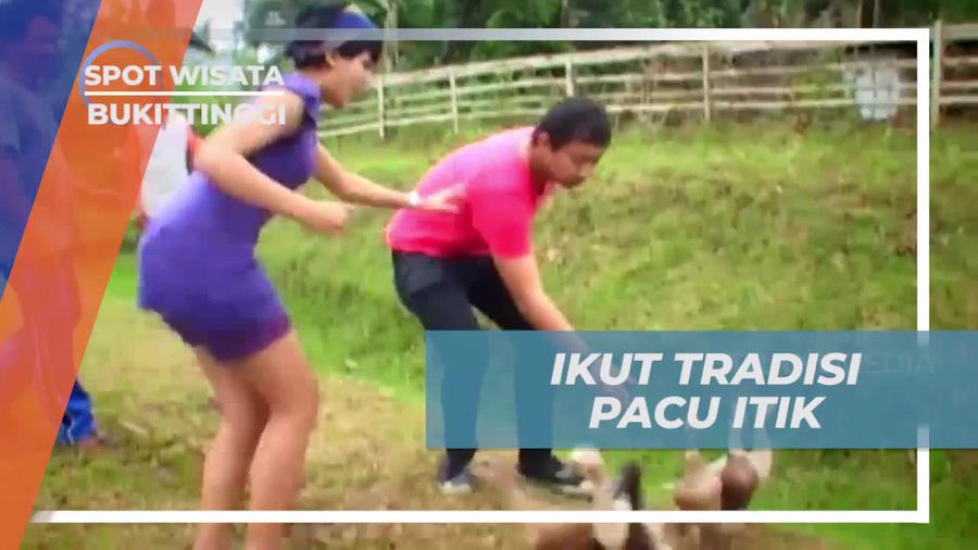 Berpartisipasi dalam Tradisi Pacu Itik di Bukittinggi