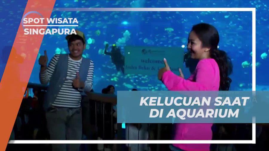 Tersentuh Sambutan Hangat di South East Asia Aquarium, Singapura