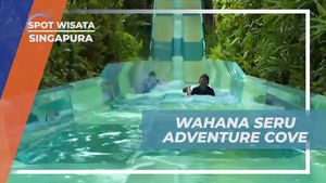 Menjelajahi Wahana Paling Seru di Adventure Cove, Singapura