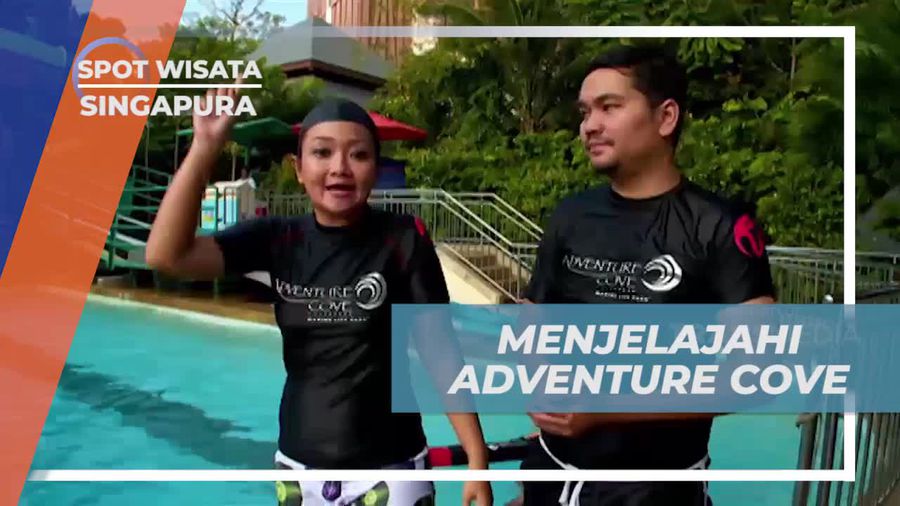 Mencoba Wahana Seru di Adventure Cove Water Park, Singapura