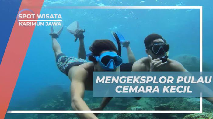Mengeksplorasi Pulau Cemara Kecil di Karimun Jawa dengan Snorkeling