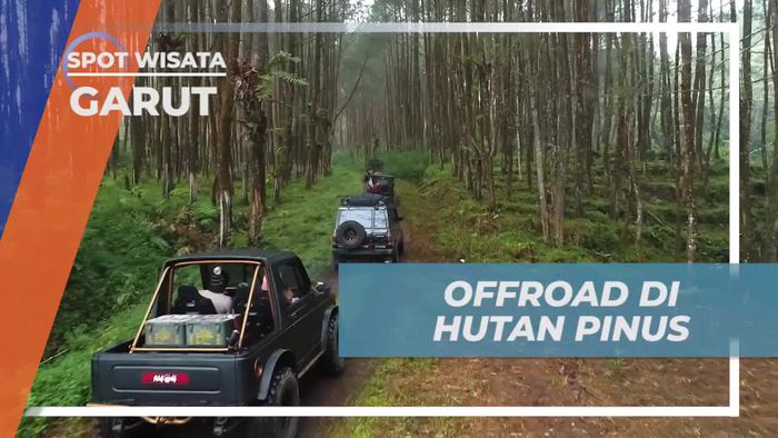 Berpetualang dengan Offroad Menyusuri Hutan Pinus Garut