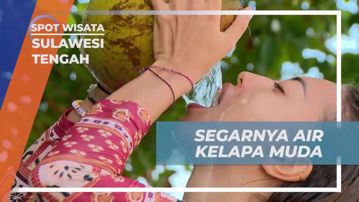 Menyegarkan Diri dengan Air Kelapa Muda di Tanjung Pasir, Sulawesi Tengah