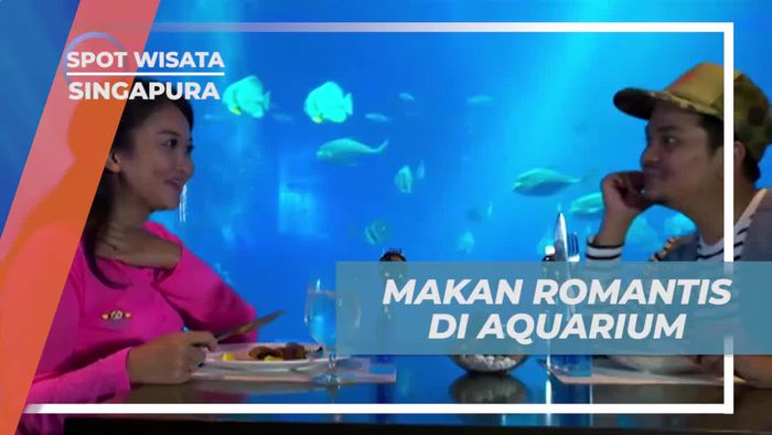 Merasakan Makan Romantis di Tengah Aquarium Raksasa Singapura