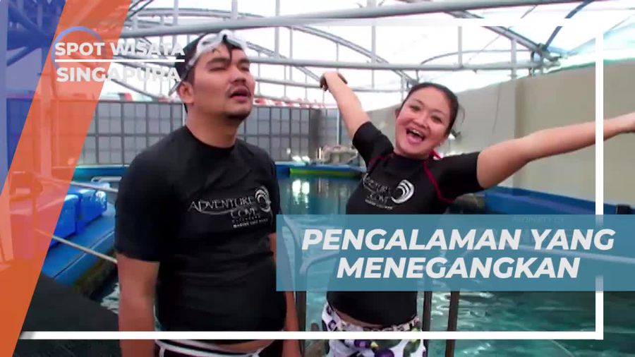Pengalaman Menegangkan Saat Berhadapan dengan Hiu di Singapura