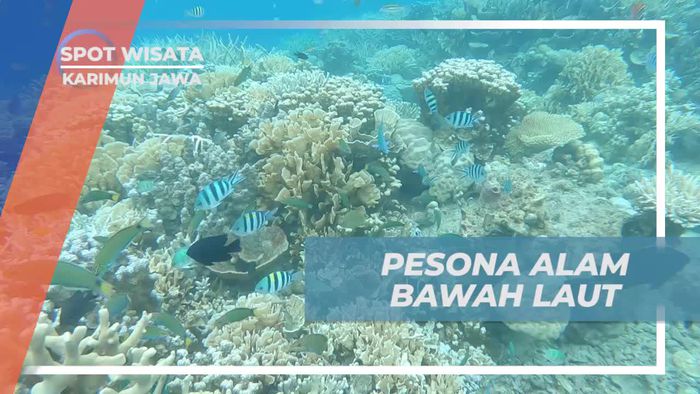 Menelusuri Pesona Alam Bawah Laut Karimun Jawa