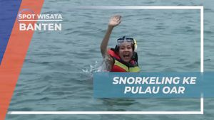 Snorkeling di Keindahan Laut Pulau Oar, Banten