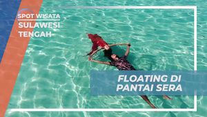 Floating di Pantai Sera yang Jernih, Sulawesi Tengah