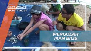 Mengolah Ikan Bilis yang Baru Ditangkap, Bukittinggi