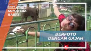 Berselfie dengan Gajah di Bukittinggi, Sumatra Barat