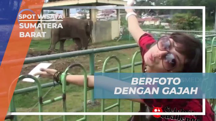 Berselfie dengan Gajah di Bukittinggi, Sumatra Barat