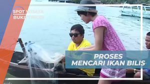 Menangkap Ikan Bilis di Danau Singkarak, Bukittinggi