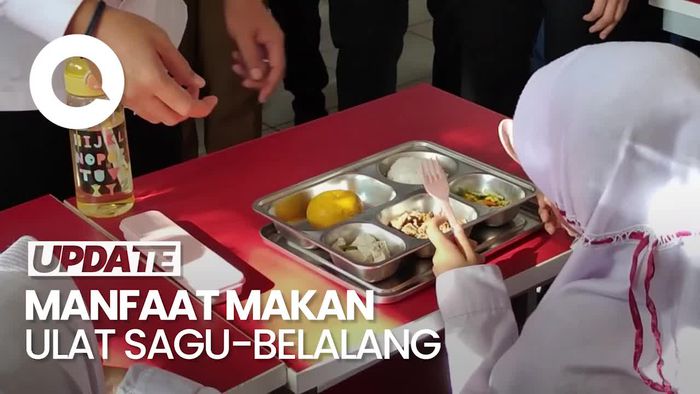 Video: Manfaat Gizi Ulat Sagu-Belalang untuk Pertumbuhan Anak