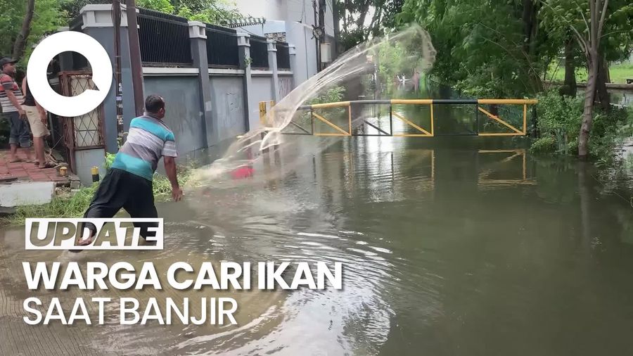 Video: Berkah di Tengah Banjir, Warga Semper Barat Jakut Berburu Ikan