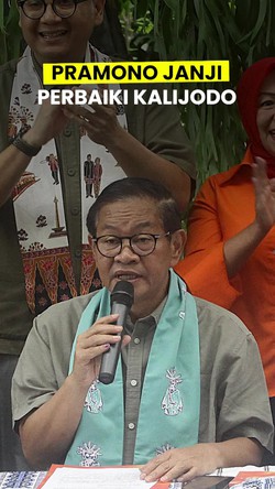Video Pramono: Pak Ahok Tak Usah Marah-Marah, Kalijodo Akan Kami Perbaiki