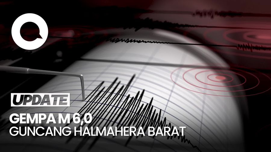 Video: Gempa M 6,0 Guncang Halmahera Barat, Tak Berpotensi Tuunami