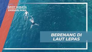 Berenang di Laut Lepas dan Nikmati Kesegarannya di Karimun Jawa