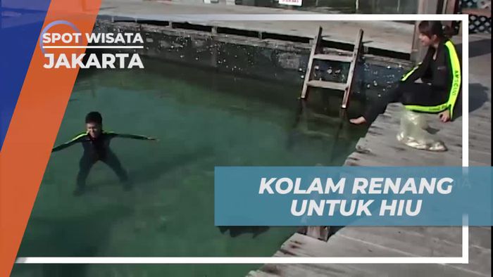 Berenang di Kolam Khusus Hiu di Jakarta
