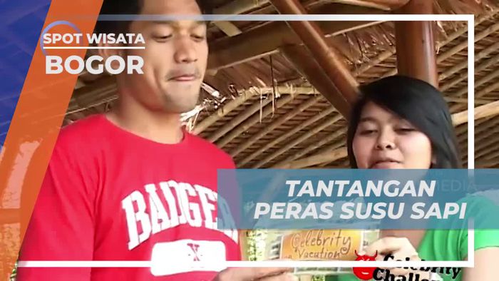 Memeras Susu Sapi dalam Tantangan Seru di Bogor