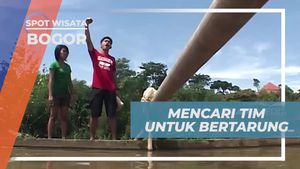 Mencari Tim untuk Bertarung dalam Permainan Gebuk Bantal di Bogor