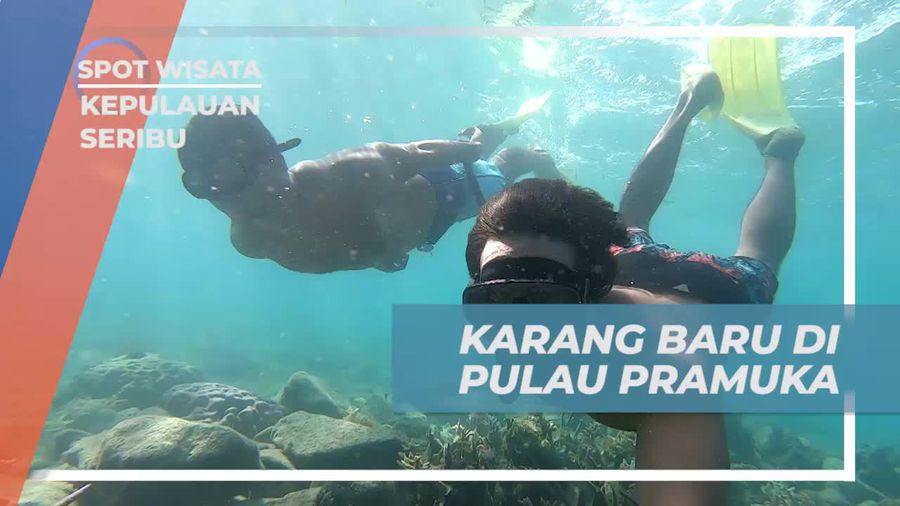 Melestarikan Ekosistem Laut dengan Menanam Karang di Pulau Pramuka, Kepulauan Seribu