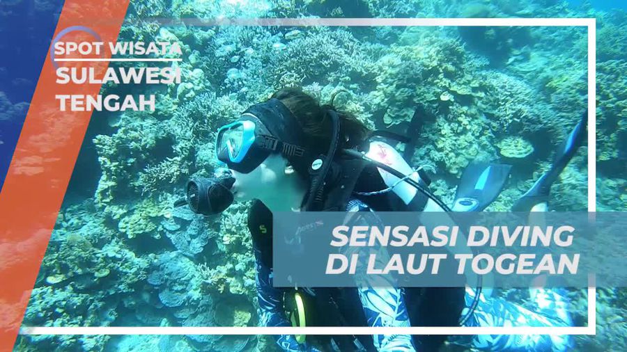 Merasakan Sensasi Diving di Laut Togean, Sulawesi Tengah