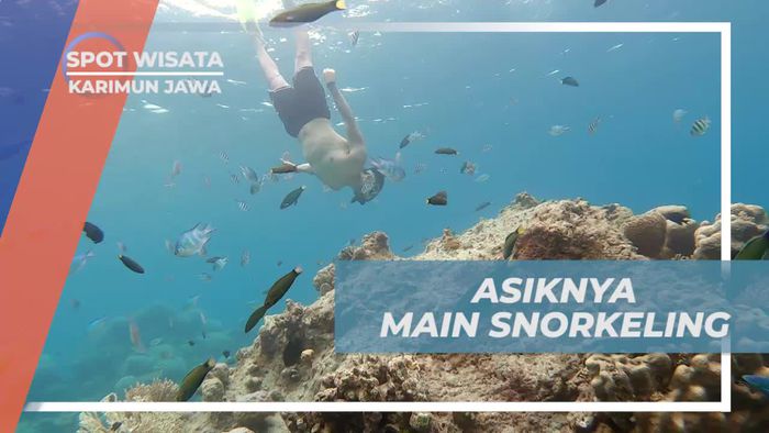Menikmati Sensasi Snorkeling yang Mengasyikkan di Karimun Jawa