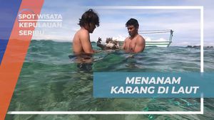Menjaga Kehidupan Laut Melalui Penanaman Karang di Pulau Pramuka, Kepulauan Seribu