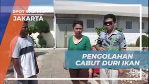 Proses Pengolahan Ikan Bandeng di Jakarta
