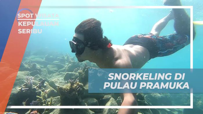 Menikmati Keindahan Bawah Laut Sambil Snorkeling di Pulau Pramuka, Kepulauan Seribu
