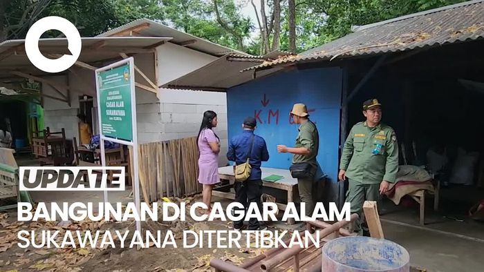  Video: Ironi Cagar Alam Sukawayana, dari Konservasi Jadi Tempat Karaoke