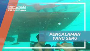 Menikmati Pengalaman Seru Menjelajahi Karimun Jawa